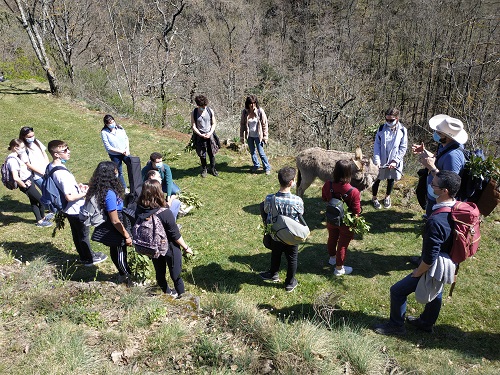 La Pastorale des lycéens d’Annonay en marche pour les Rameaux !